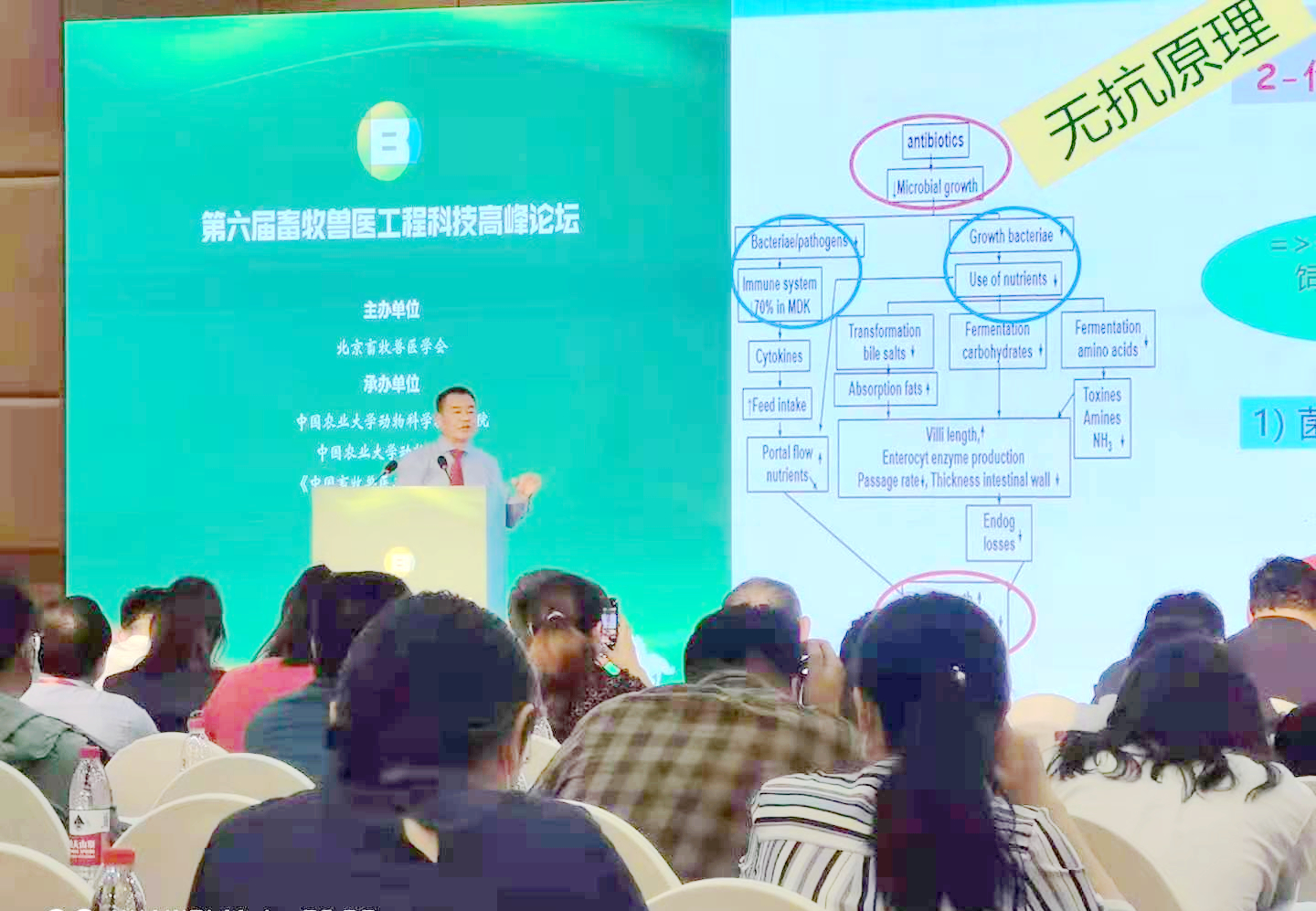 天然植物提取物在無抗中發(fā)揮哪些優(yōu)勢？
