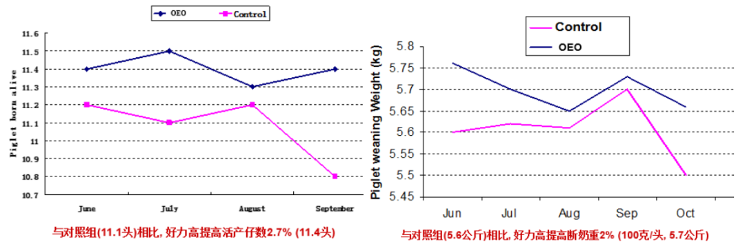 2.png 圖片